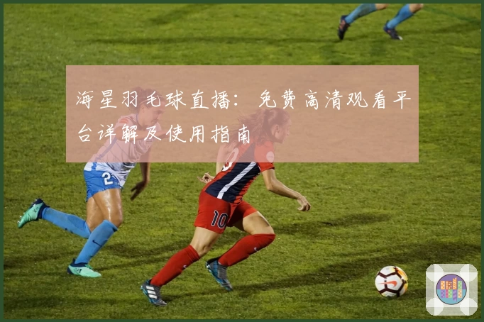 海星羽毛球直播：免费高清观看平台详解及使用指南