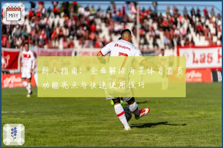 新人指南：全面解读海星体育首页功能亮点与快速使用技巧
