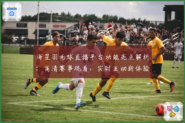 海星羽毛球直播平台功能亮点解析：高清赛事观看，实时互动新体验